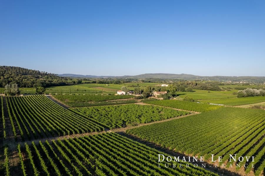 Luftaufnahme des Weinguts Domaine Le Novi in La Tour-d’Aigues, umgeben von Weinbergen im Luberon