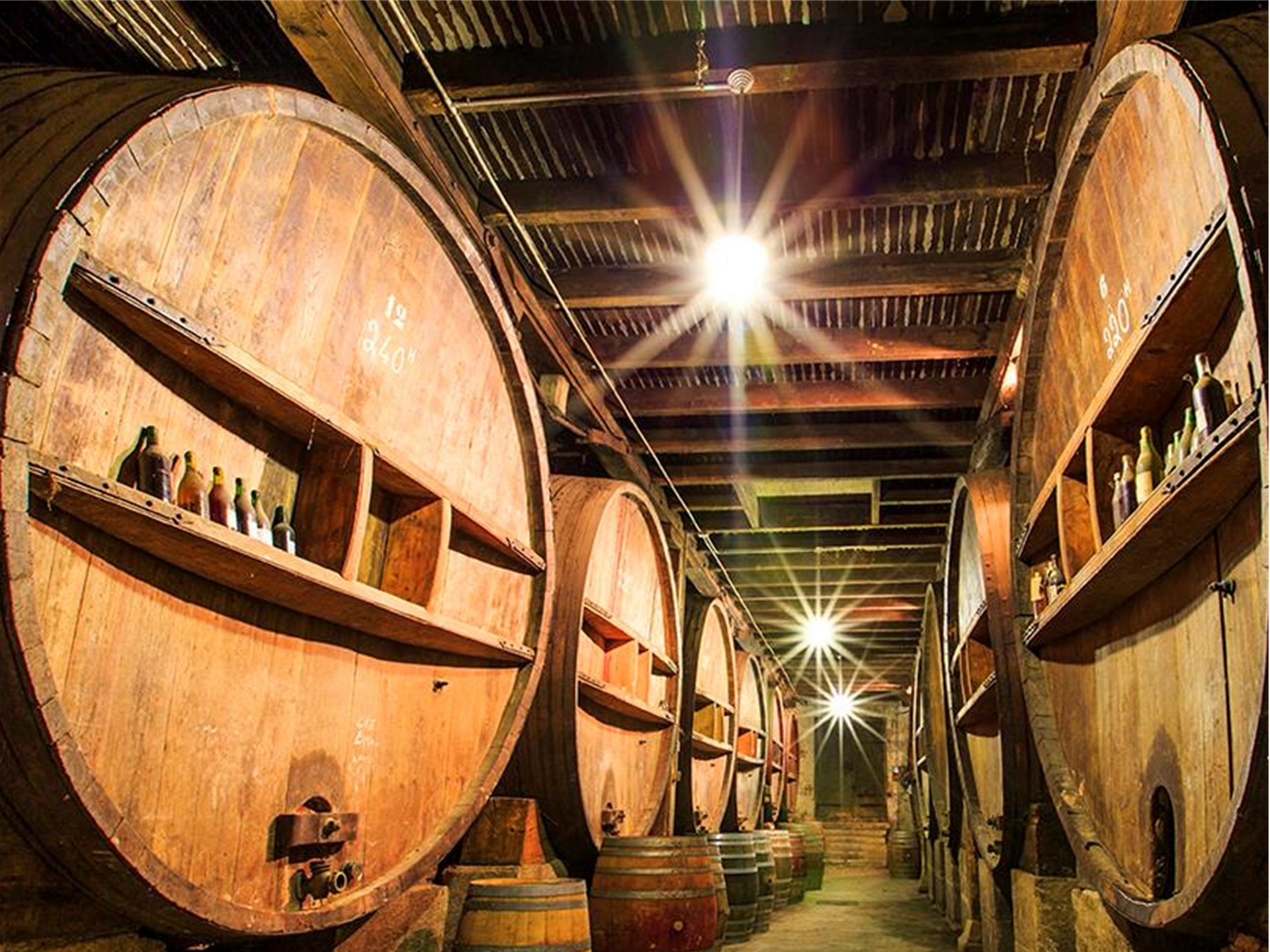 Reben des Château de Clapier am Fuße des Luberon
