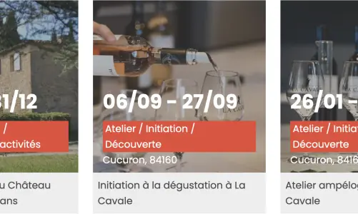 Widgets de Destination Luberon | Installation et intégration HTML 