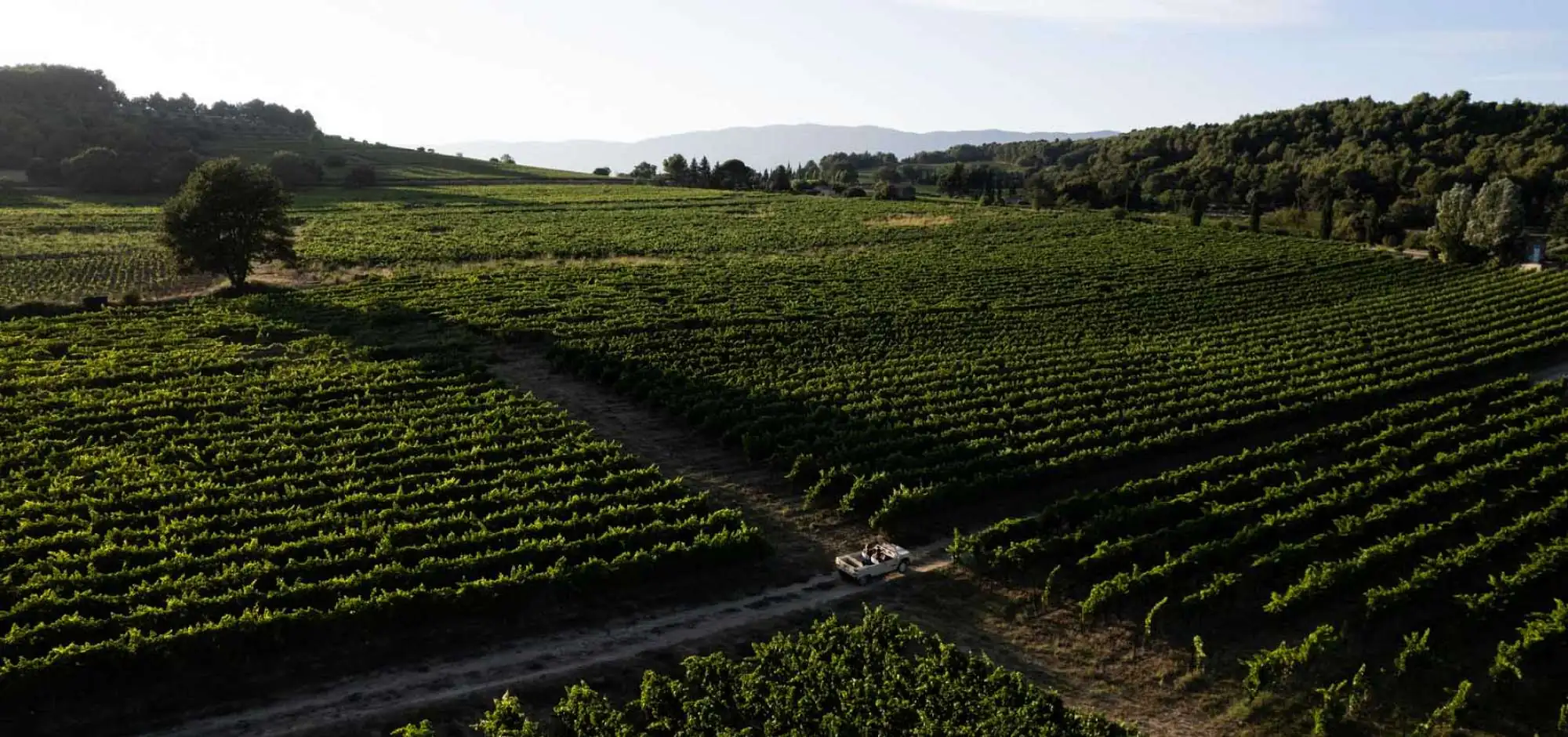 Domaine Le Novi
