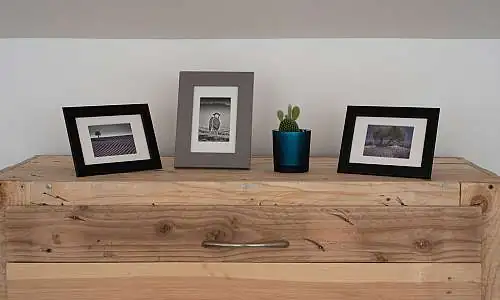 Le Champ des Oliviers