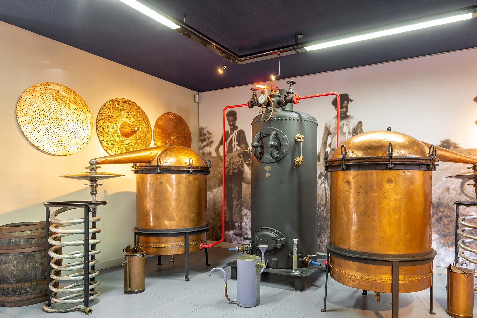 Entdeckung von Kulturerbe und traditionellen Werkzeugen im Herzen eines Museums im Luberon