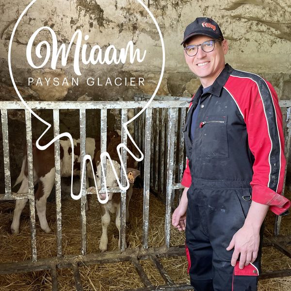 Miaam – Bauernhof-Eismanufaktur: handgemachtes Eis mit Leidenschaft auf dem Bauernhof hergestellt Miaam-Bauernhof in L’Isle-sur-la-Sorgue – Handgemachtes Eis aus der Milch der eigenen Kühe