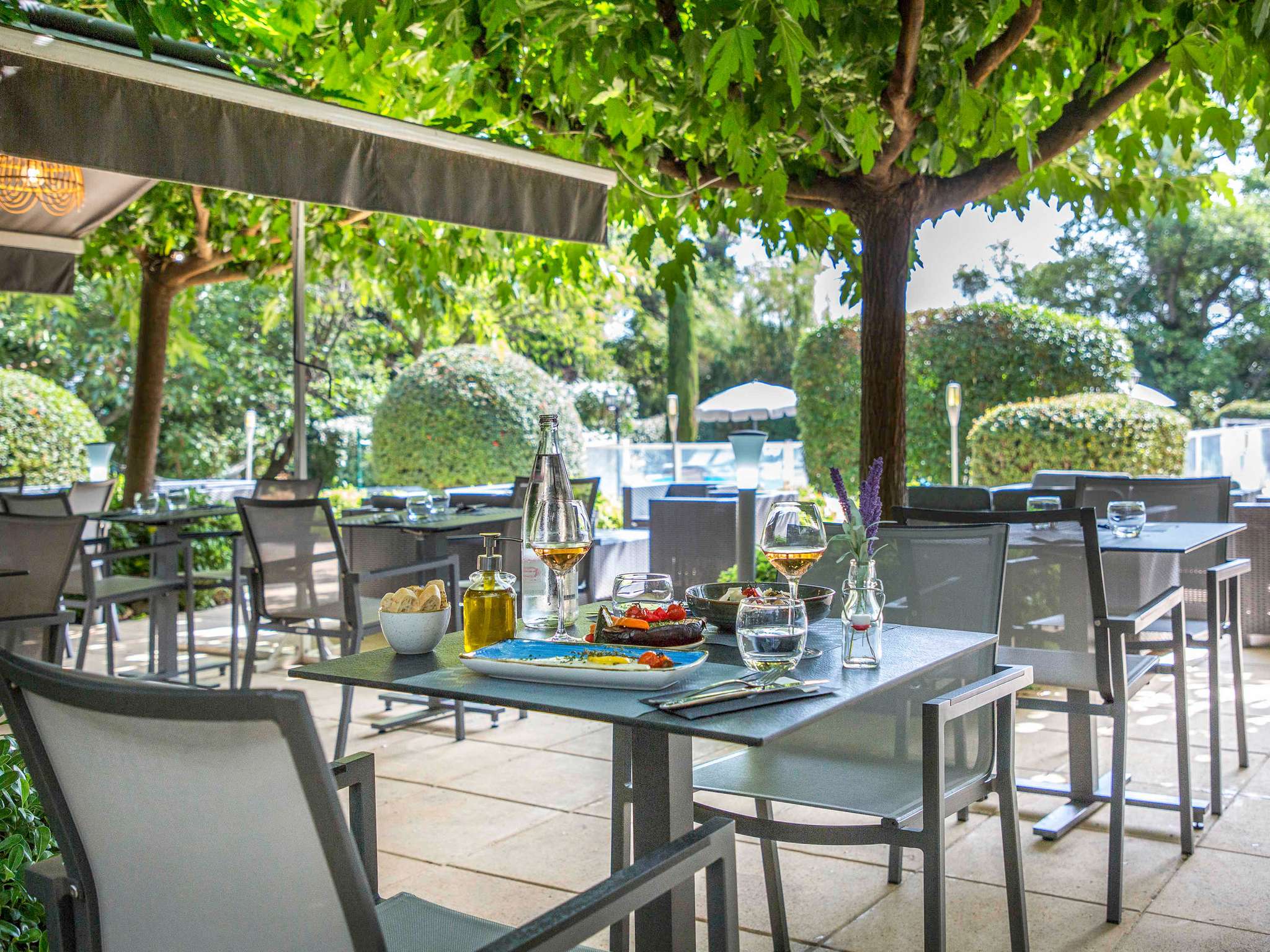 Außenpool und baumbestandener Garten des Hotels Ibis in Cavaillon