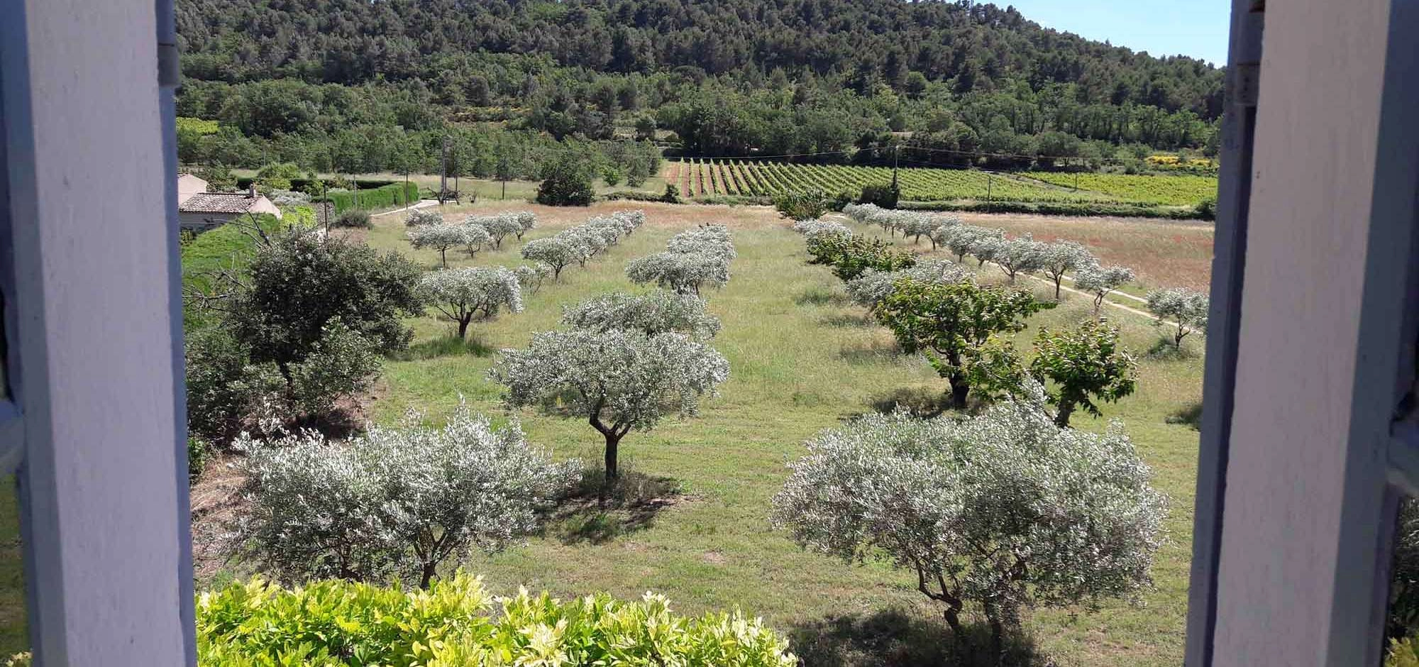 Le Bastidon Saint André**